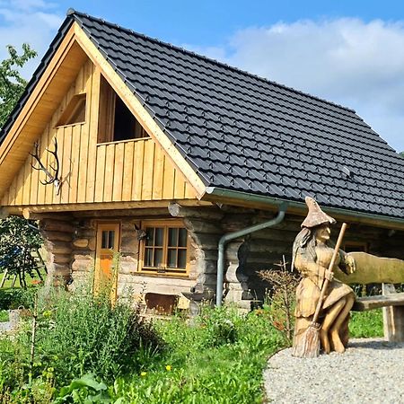 Blockhaus Panhuette Vila Braunlage Exterior foto