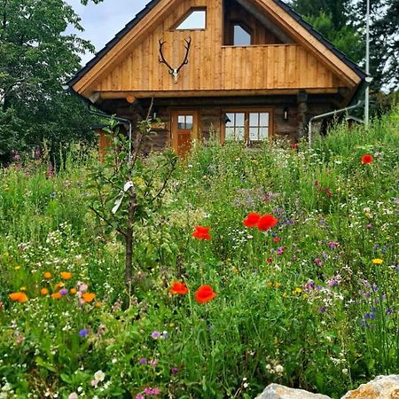 Blockhaus Panhuette Vila Braunlage Exterior foto