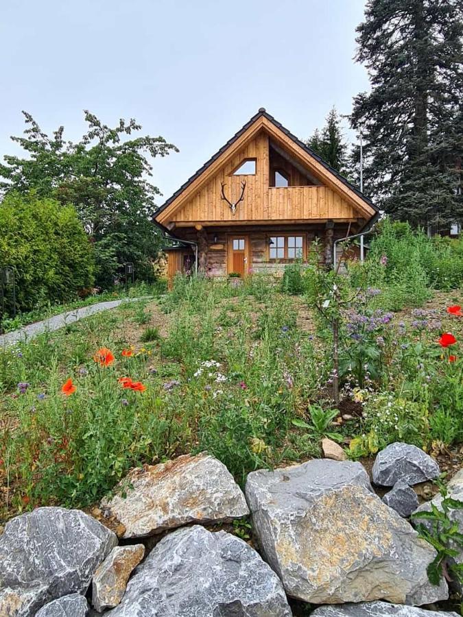 Blockhaus Panhuette Vila Braunlage Exterior foto