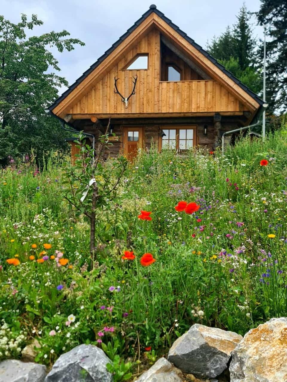 Blockhaus Panhuette Vila Braunlage Exterior foto